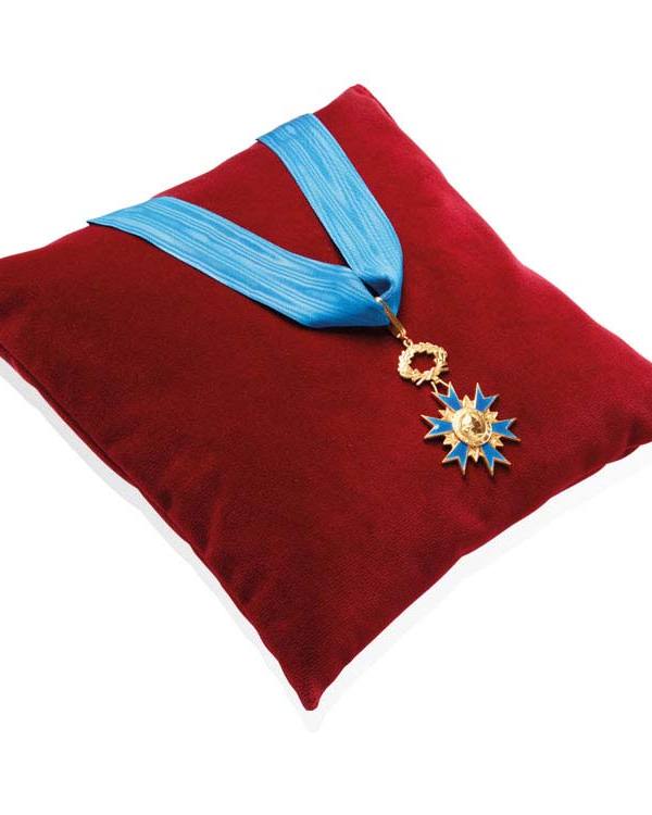 Inhuldigingskussen