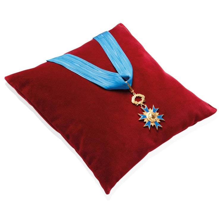 Inauguration cushion
