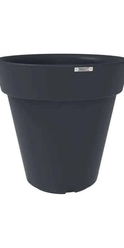 Sierpot Héritage & Tradition