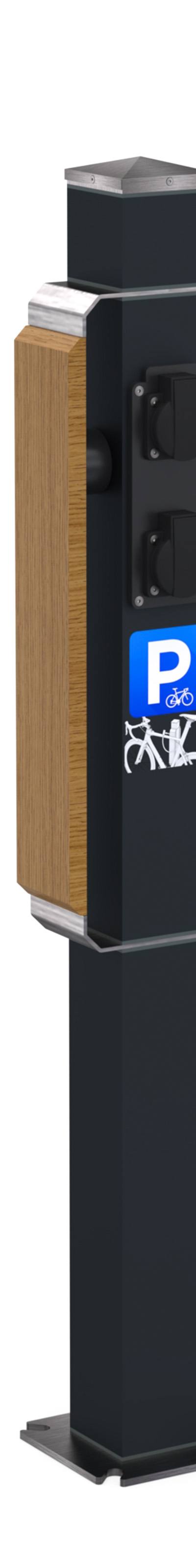 Fietsleunpaal in aluminium en eikenhout, optioneel met laadpunt