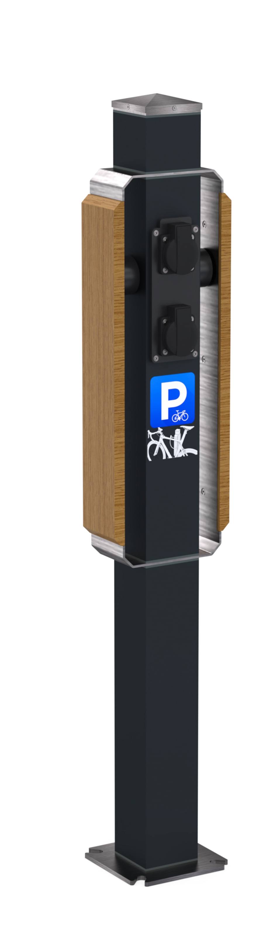 Fietsleunpaal in aluminium en eikenhout, optioneel met laadpunt