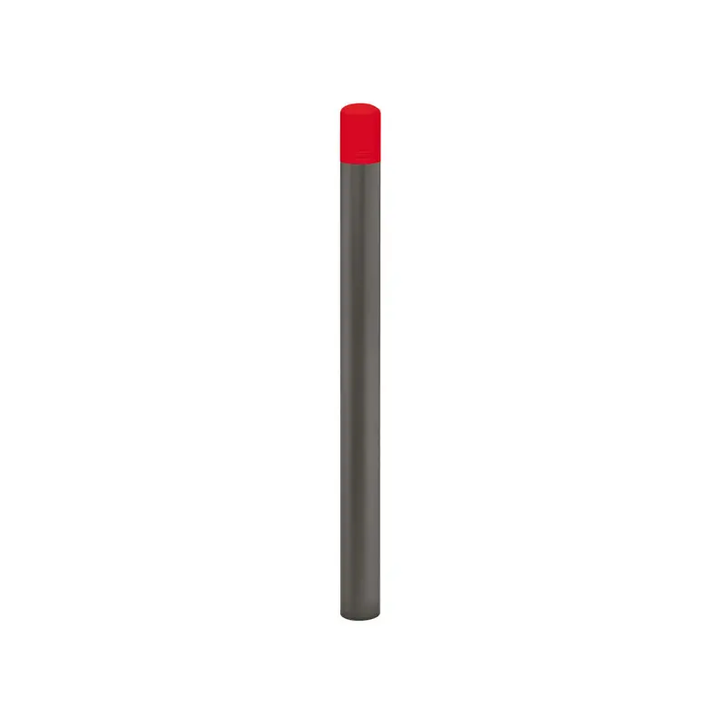 Schoolpaaltje Carrefour